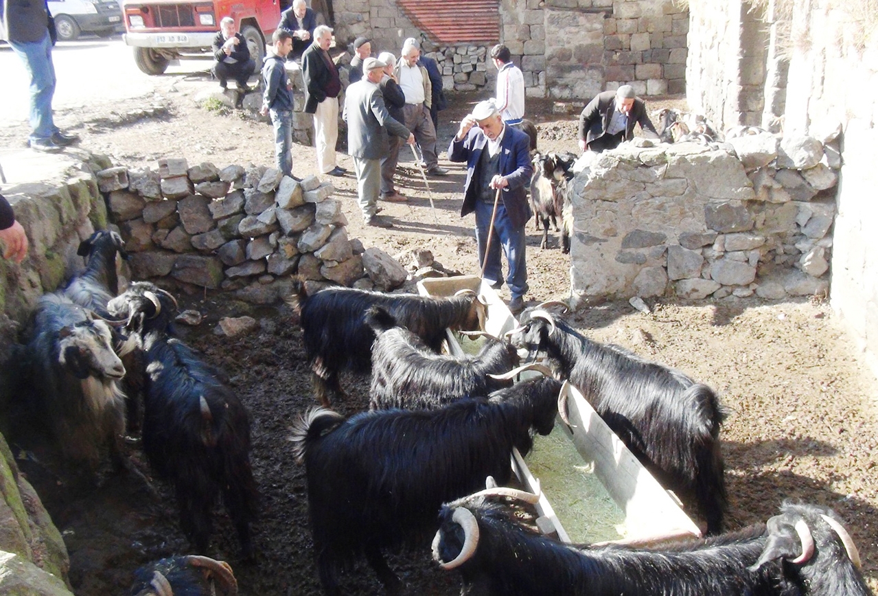 Bitlislilerin kadim geleneği ‘Kurutulmuş Et’